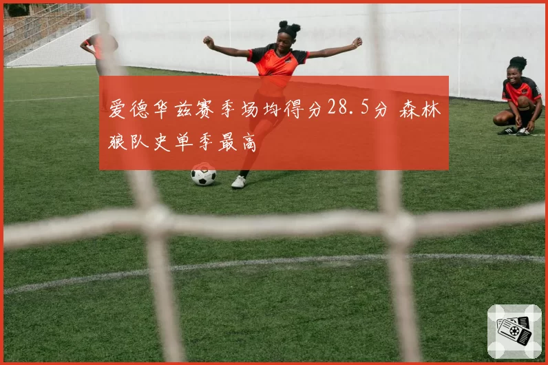 爱德华兹赛季场均得分28.5分 森林狼队史单季最高