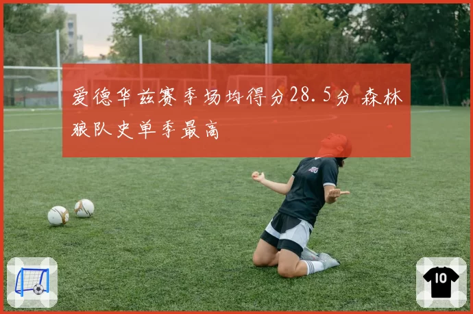 爱德华兹赛季场均得分28.5分 森林狼队史单季最高